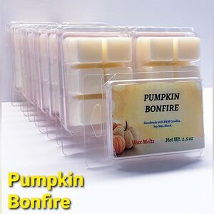PUMPKIN BONFIRE -Bath & Body Works Candle Wax Melts- $8 per pack